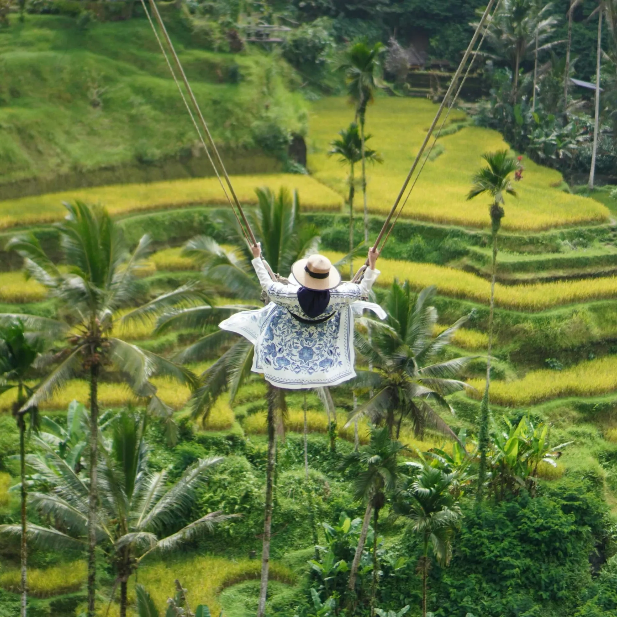 Rice terraces in Ubud