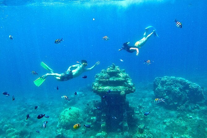 Sea turtle swimming over vibrant coral reef