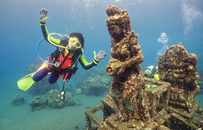 Close-up of sea turtle and snorkeler