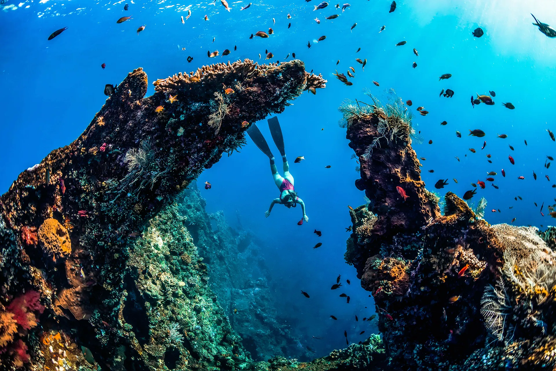 Japanese Shipwreck