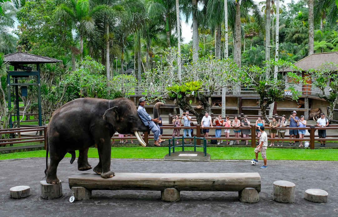 Zoo