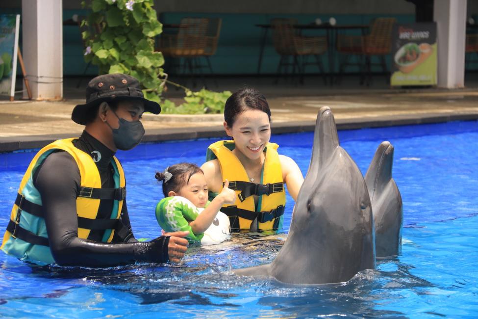 Dolphin interaction