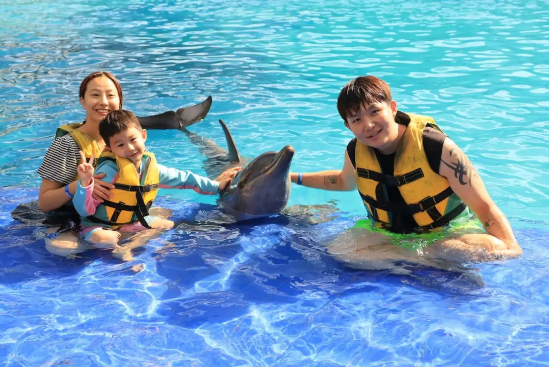 Dolphin kiss experience