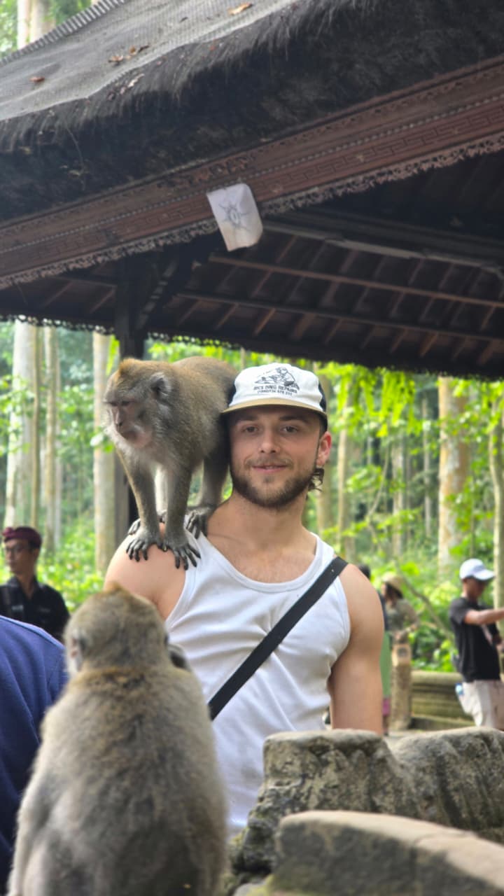 Monkey