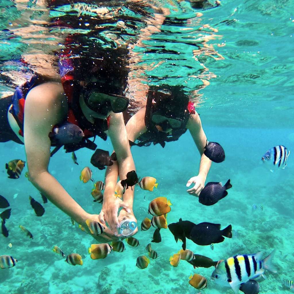 Snorkeling