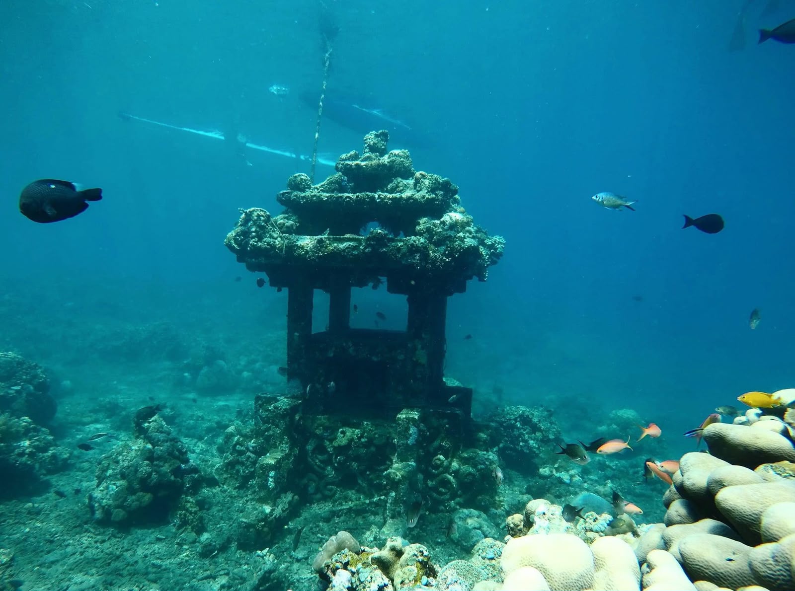 Japanese Shipwreck