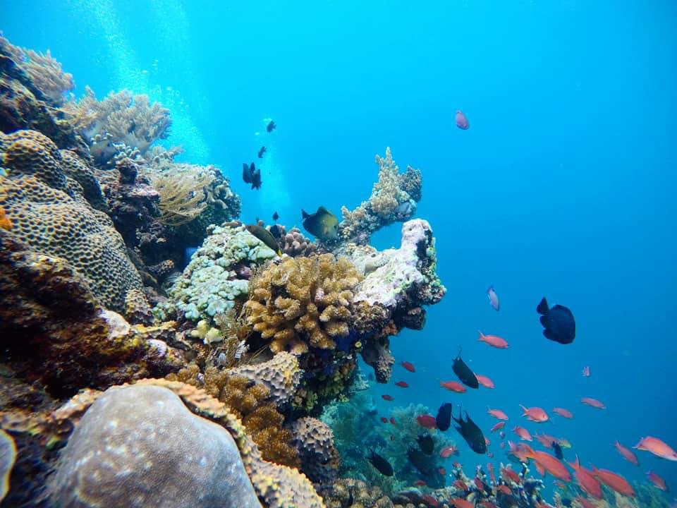 Blue Lagoon Snorkeling