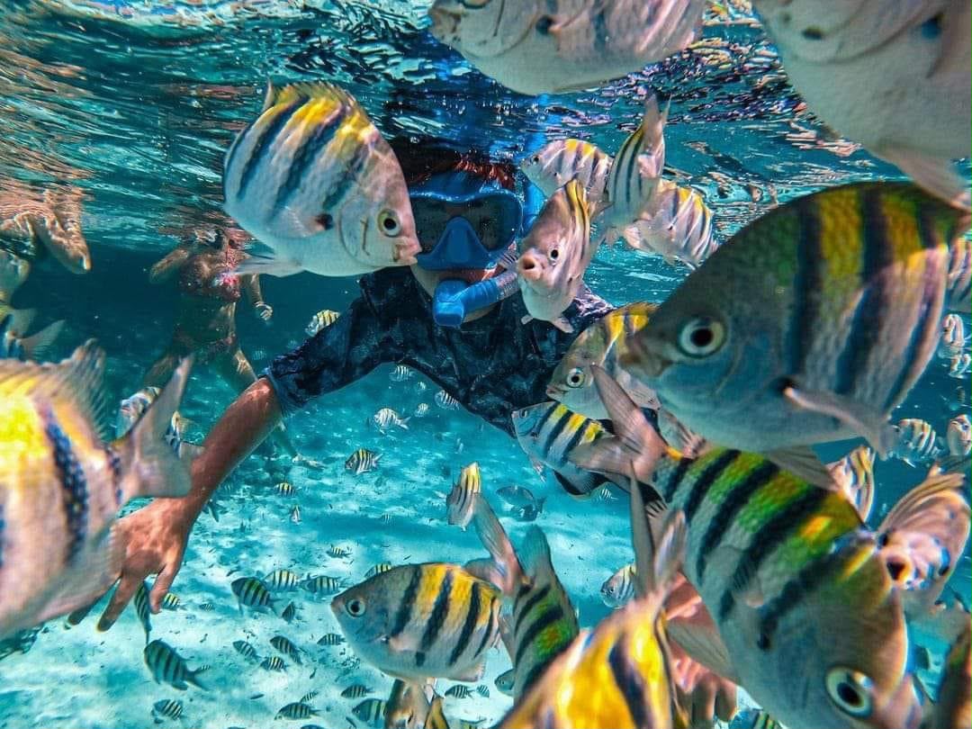 Underwater Snorkeling
