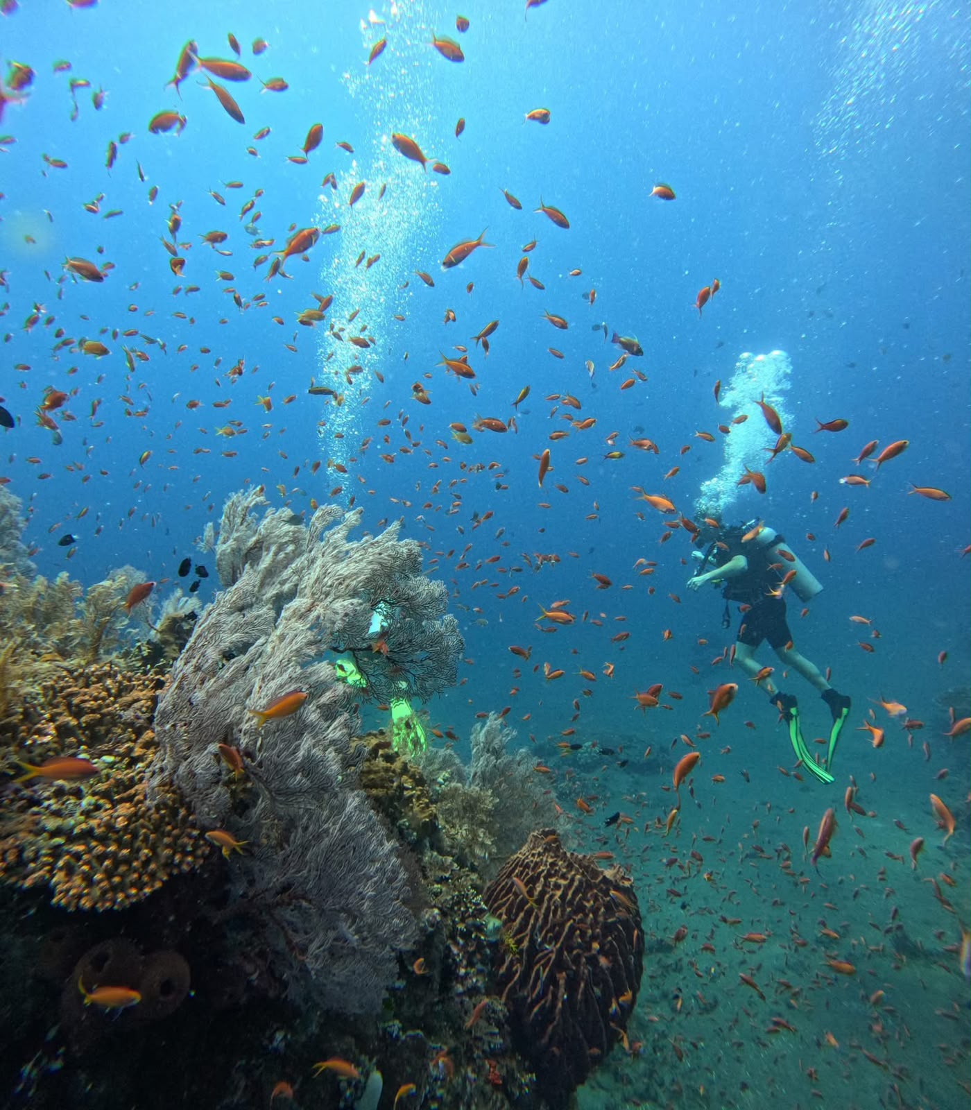 Amed Beach