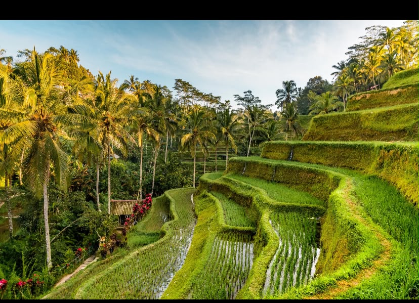 Tirta Empul Temple