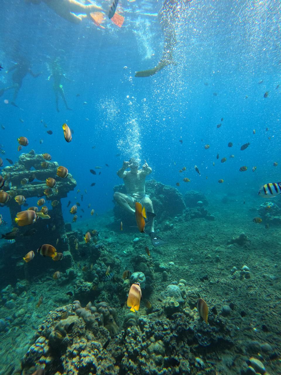 Underwater coral