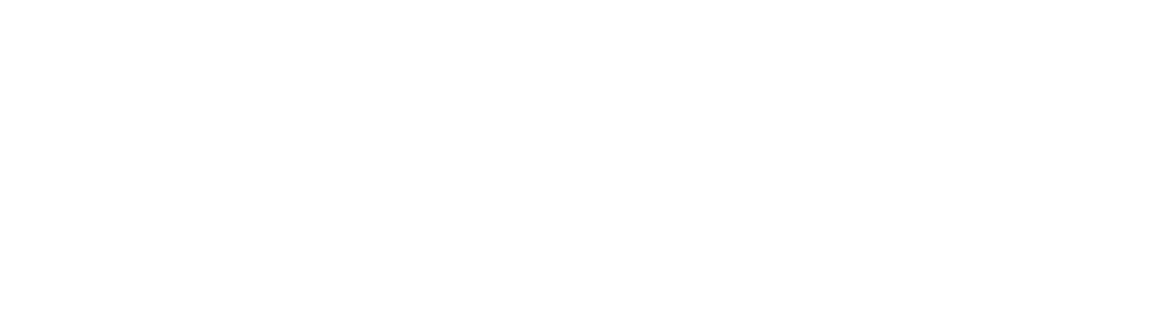 Aria Bali Tour & Travel