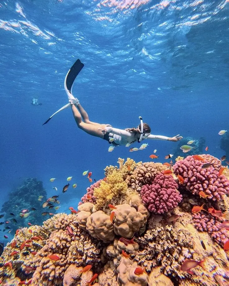 Snorkel and sea