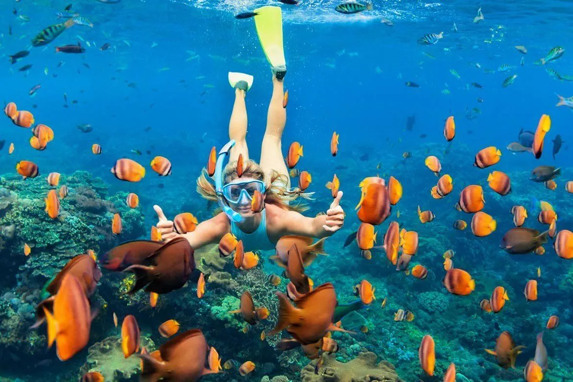 Underwater coral