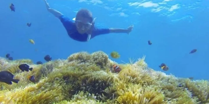 Snorkeling