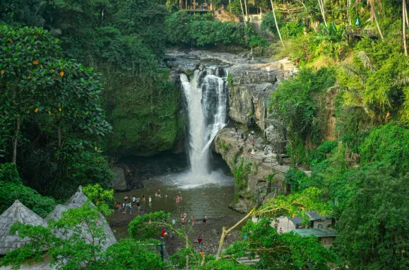 Ubud Tour