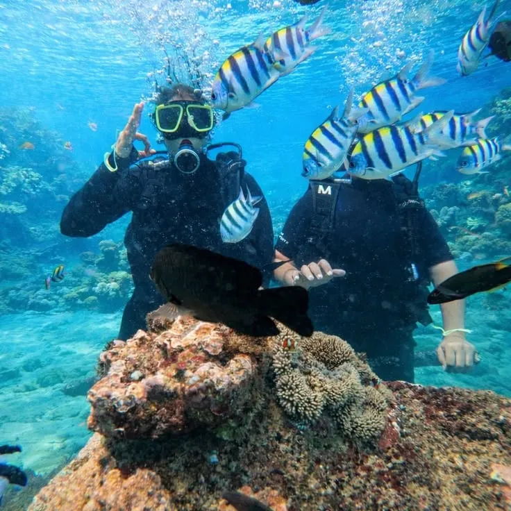 Snorkeler at the surface