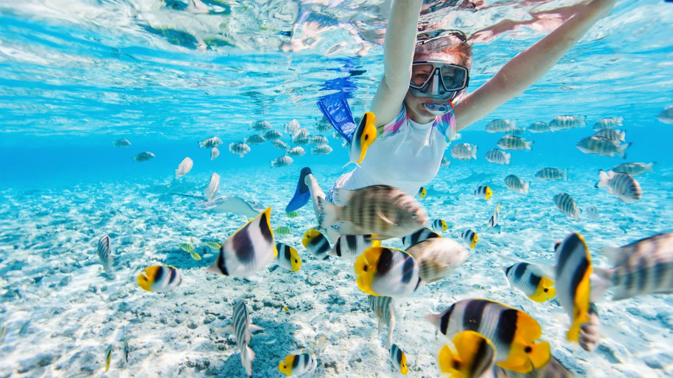Snorkeler in clear tropical water
