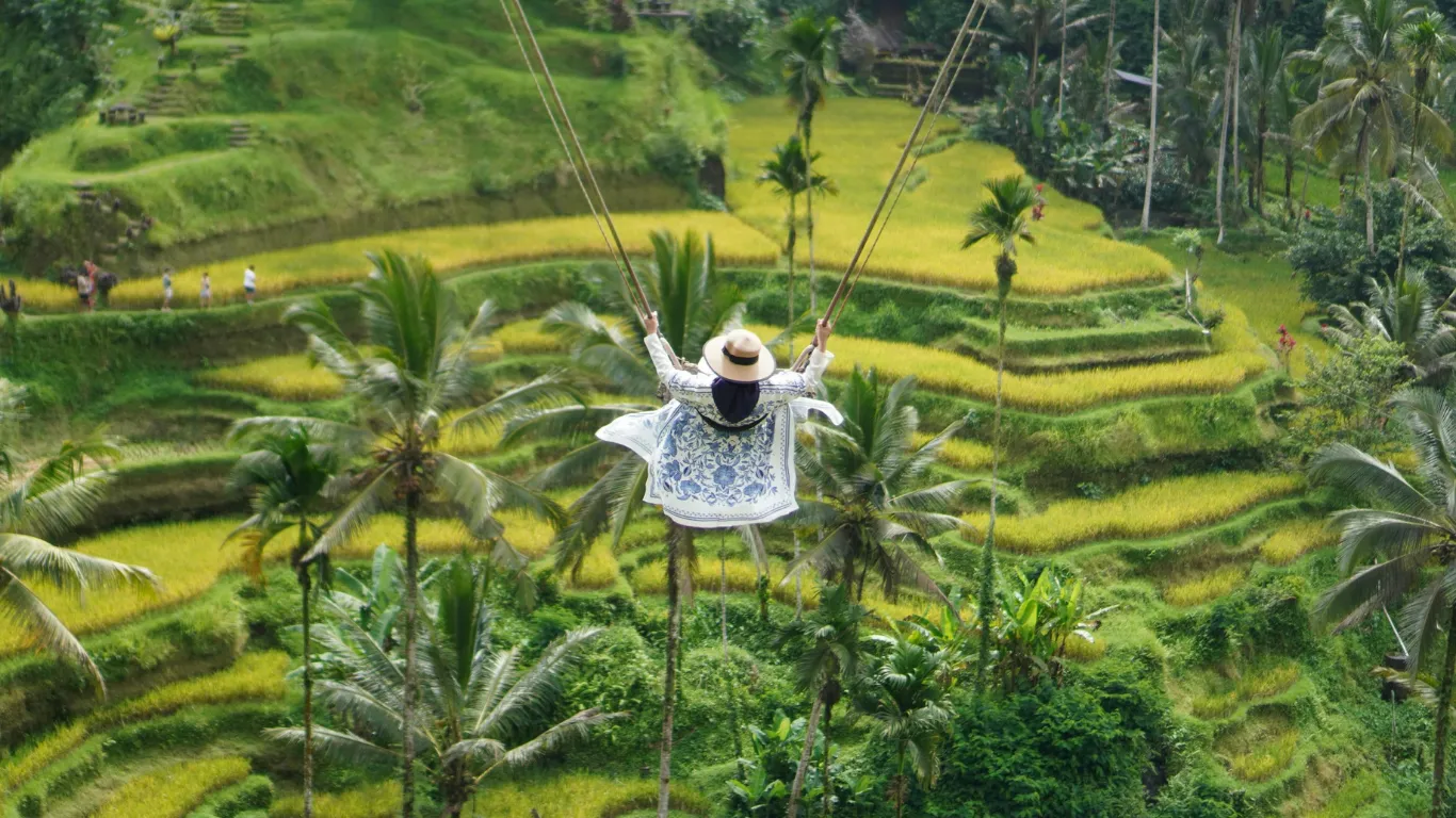 Bali jungle swing above a green valley