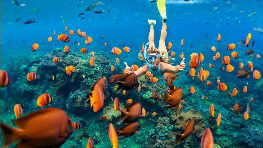 Bali Blue Lagoon Snorkeling Tour