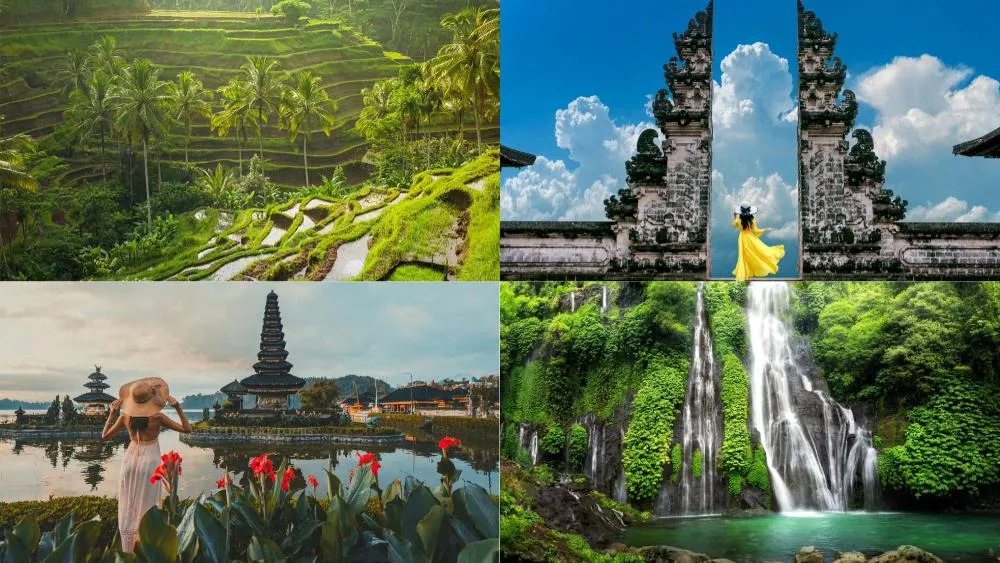 Full Day Tours