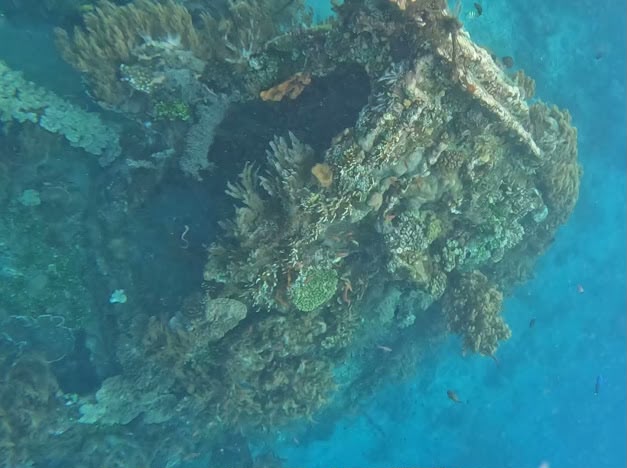 Snorkeling at the Japanese Shipwreck in Amed, Bali