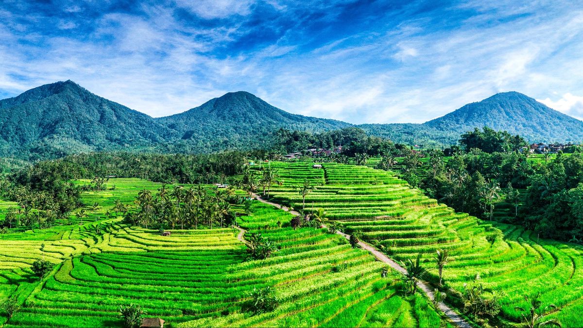 Maha Gangga Valley landscape in East Bali