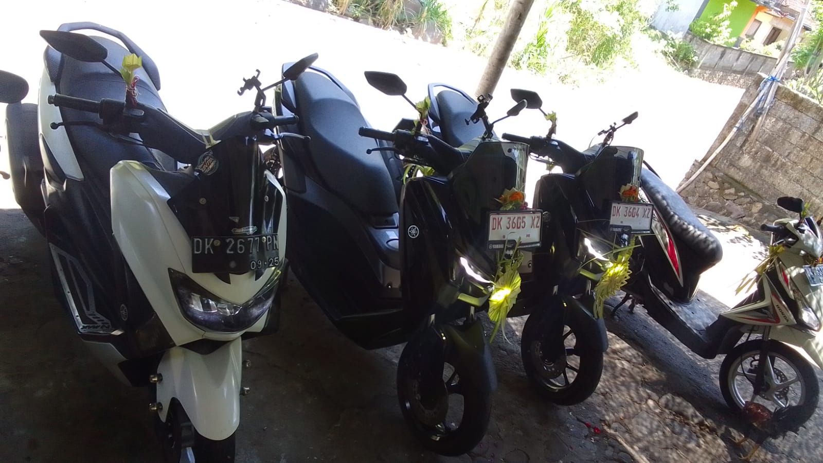 Scooter rental for exploring Amed independently
