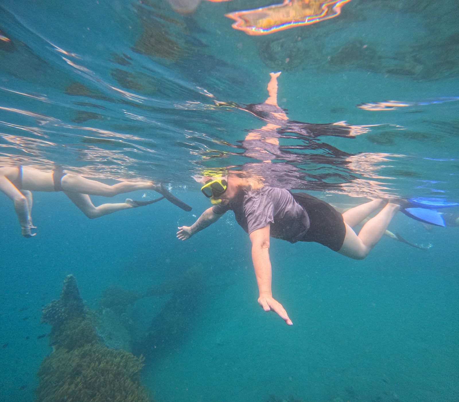 Clear water snorkeling with coral and marine life