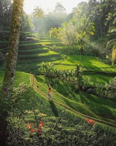 Bali Travel Blog