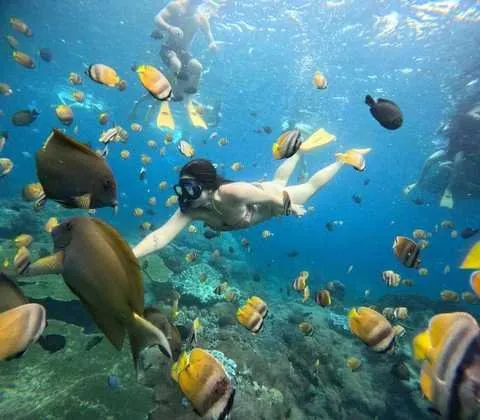 Blue Lagoon Snorkeling, Swim & Relax at Tlaga Singha Infinity Pool