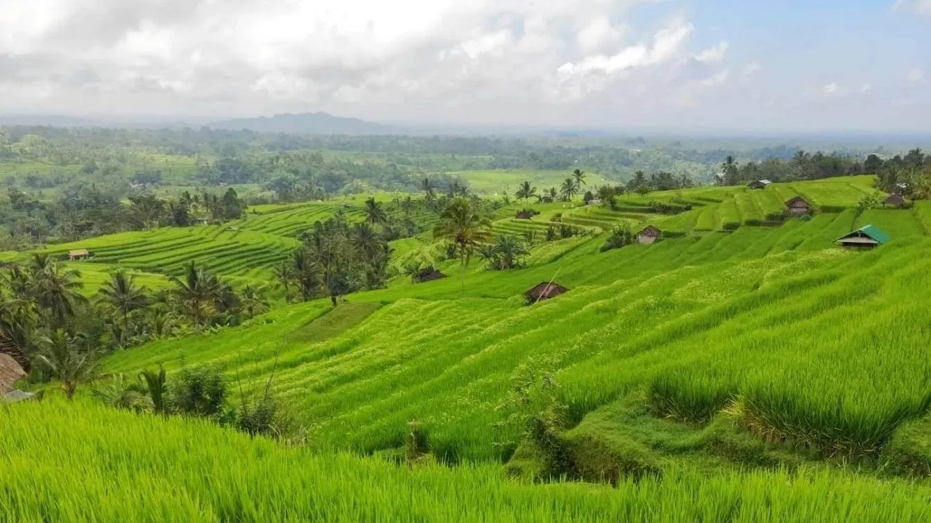 About Bali Trip Deals