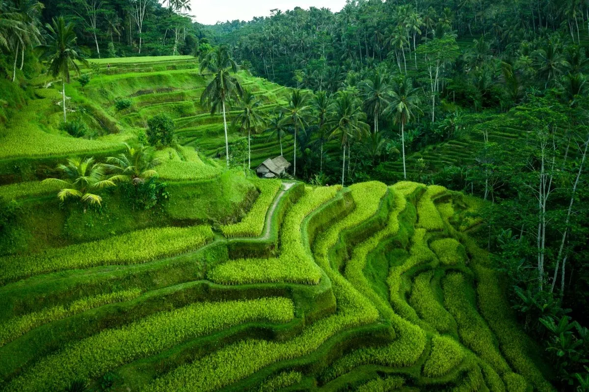 Stone temple courtyard in central Bali