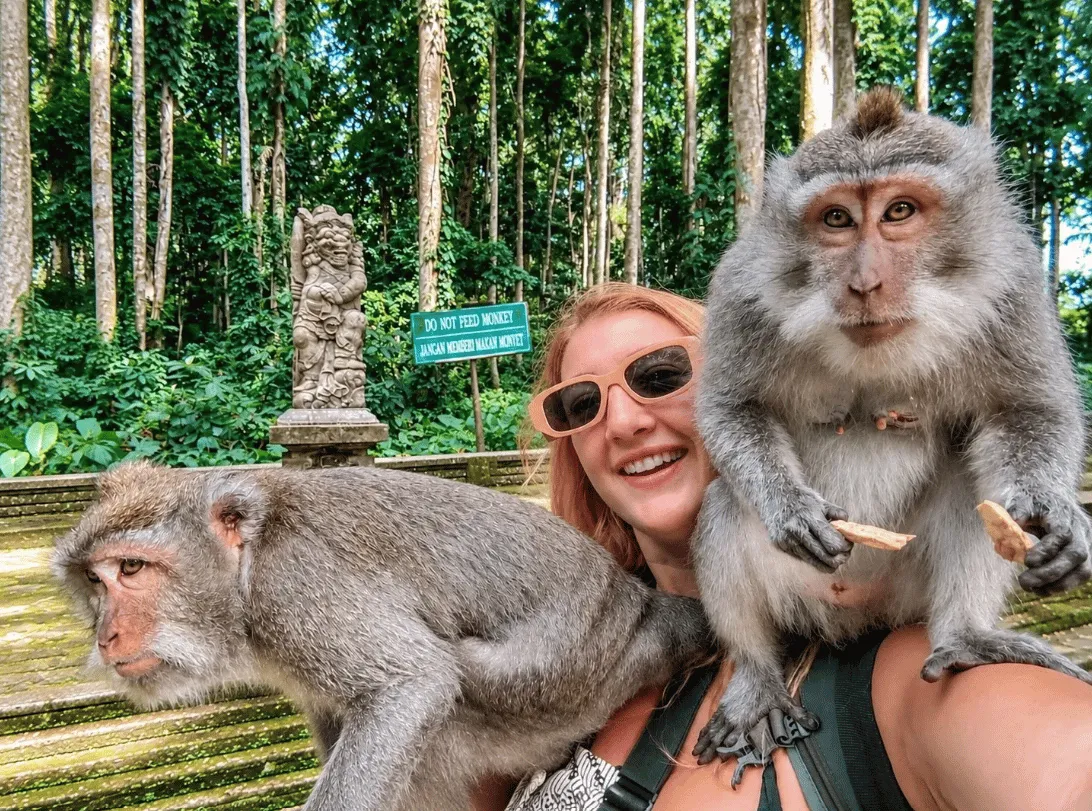 Ubud Nature, Culture & Waterfall Tour