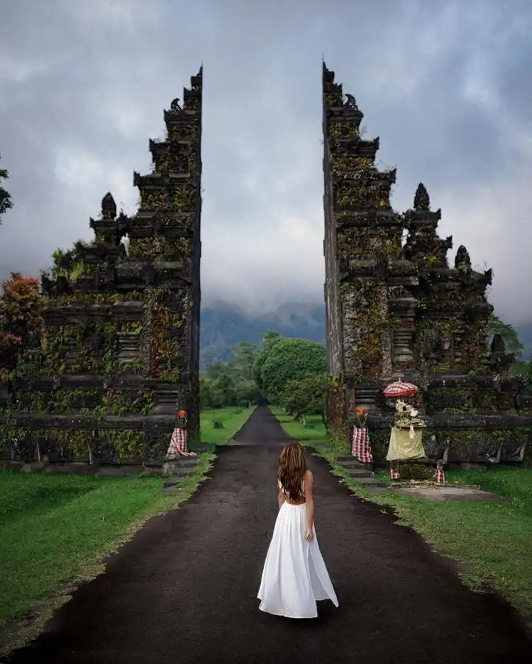 Terraced rice fields and tropical landscape in Bali