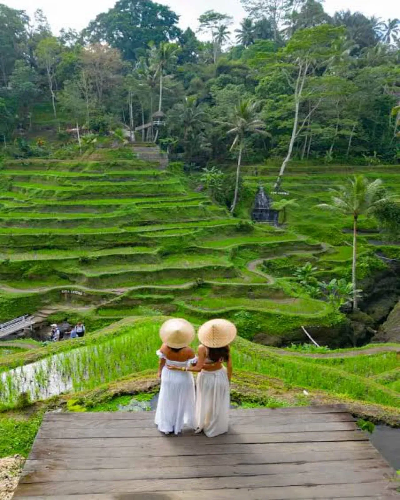 Two guests in white dresses and straw hats on a wooden platform above green rice terraces