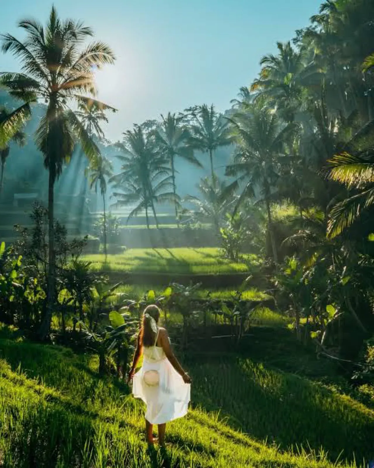 Guest in a white dress on a grassy ridge above sunlit rice terraces and palms