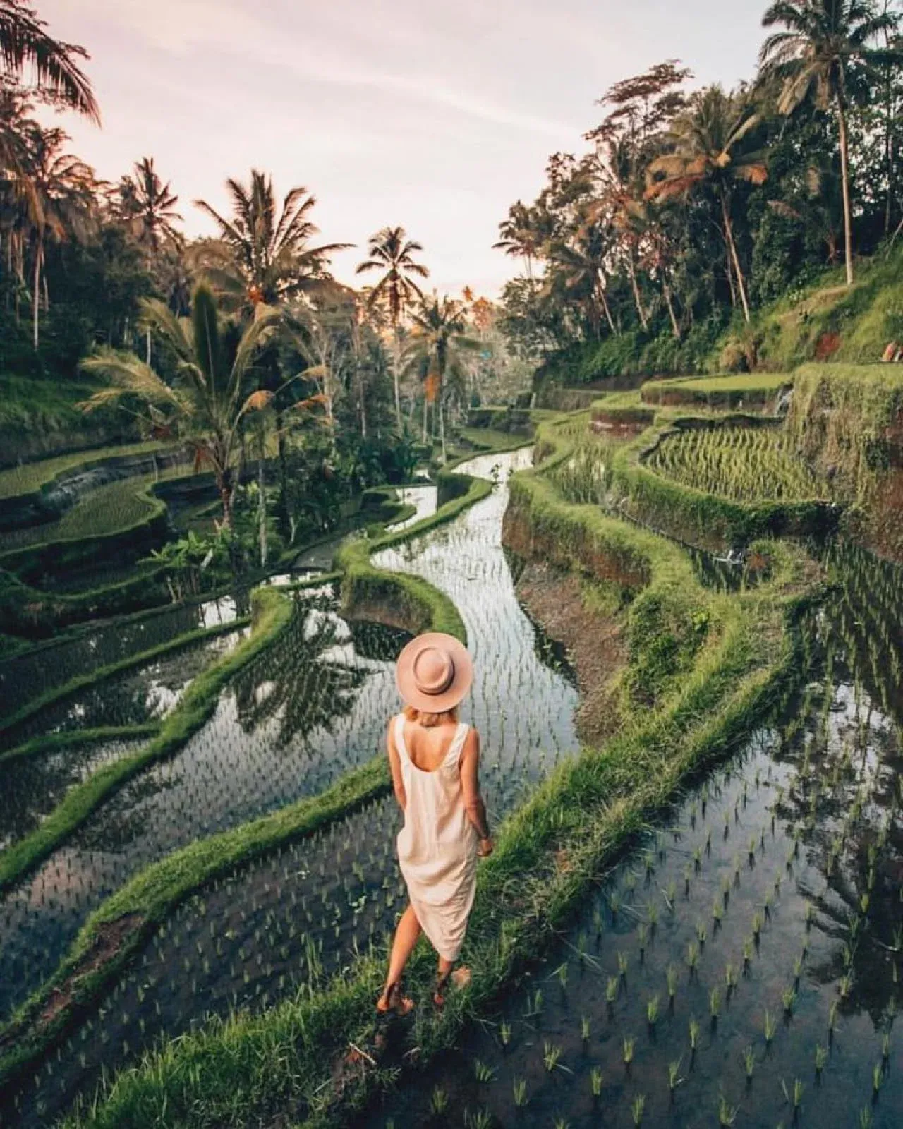 Guest in a beige dress and hat on a path between flooded rice terraces