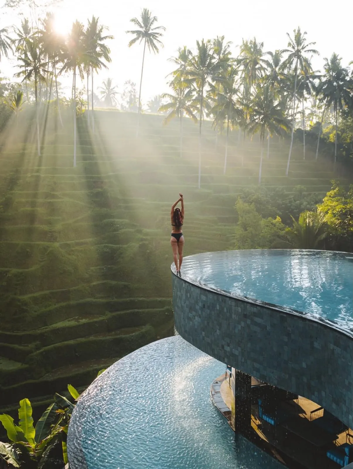 A swimmer at the edge of an infinity pool above palm-lined rice terraces at Cretya Ubud
