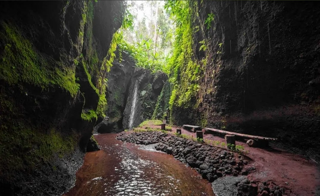 Selva y cascada en Bali