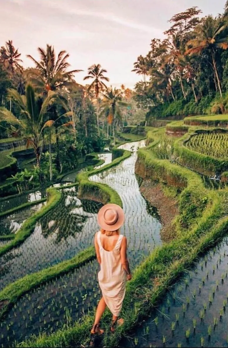 Naturaleza o aventura