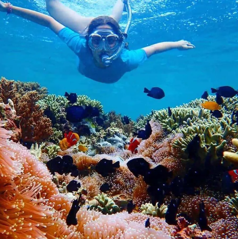 Snorkel en la isla de Menjangan