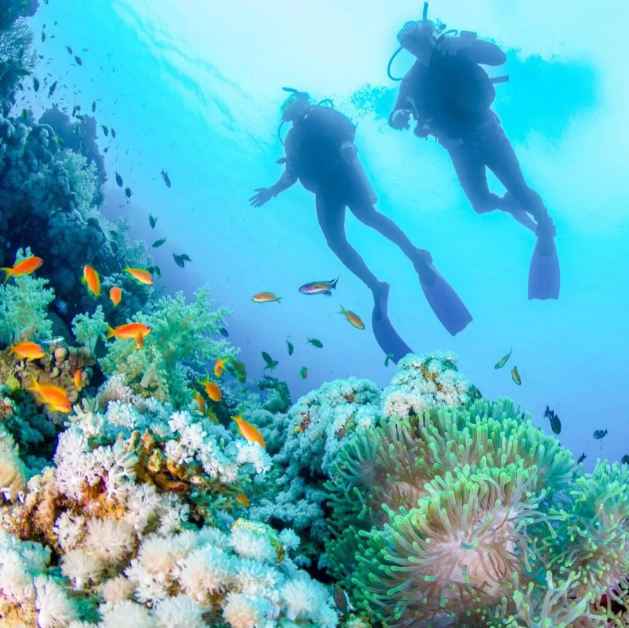 Buceo en Padangbai