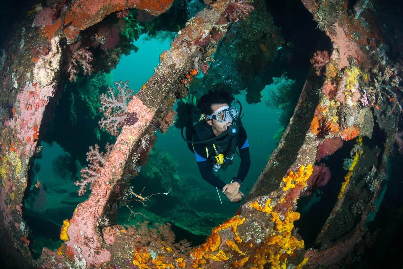 Buceo en el pecio USAT Liberty