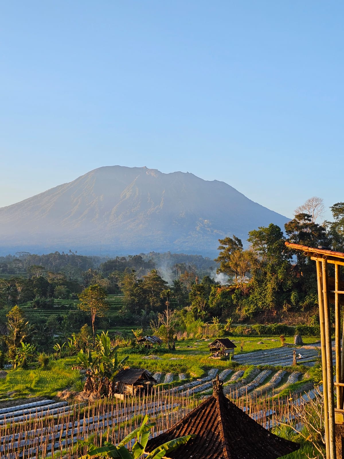 Bali road journey
