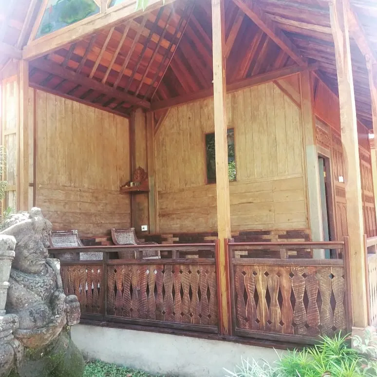 Perhutani teak forest