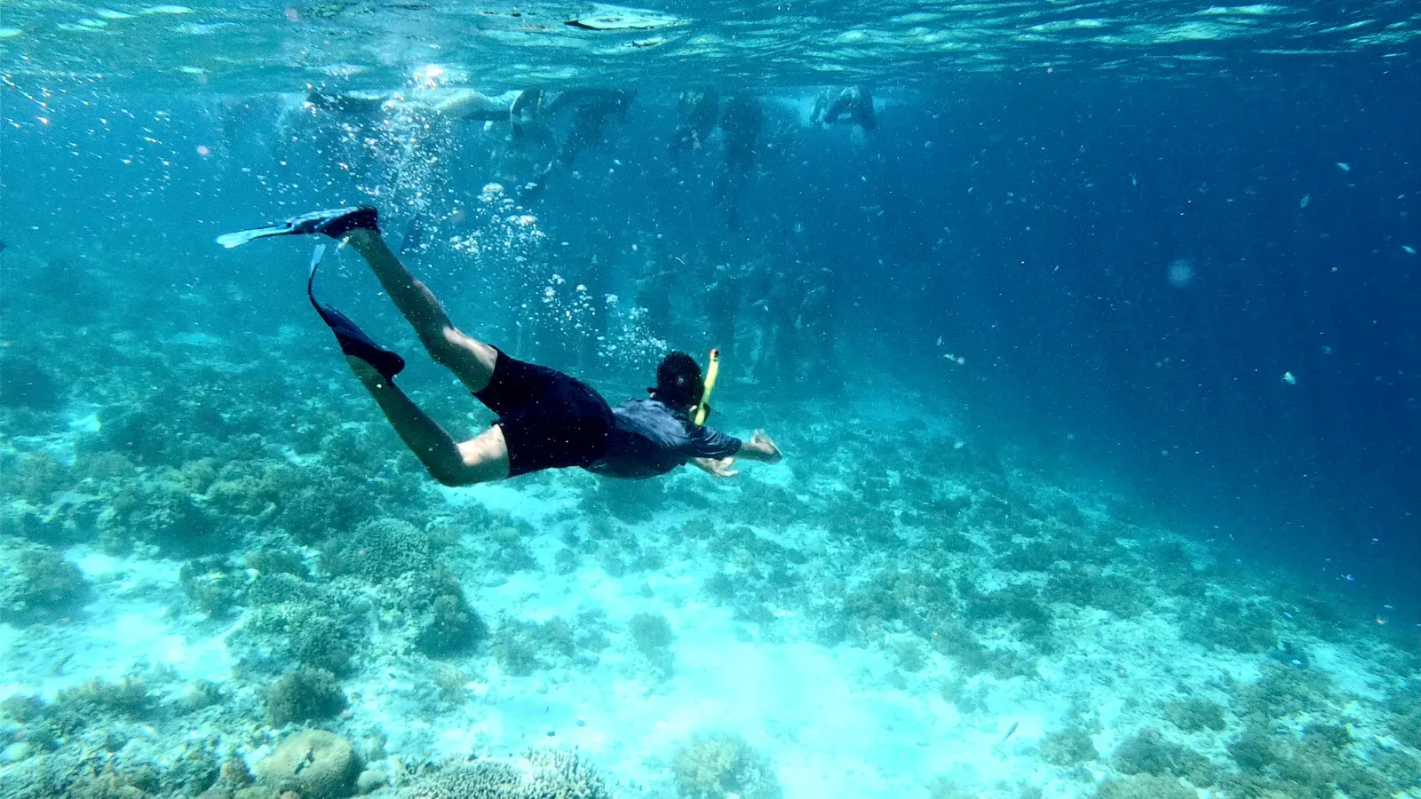 Snorkeling in clear water at the Secret Gilis