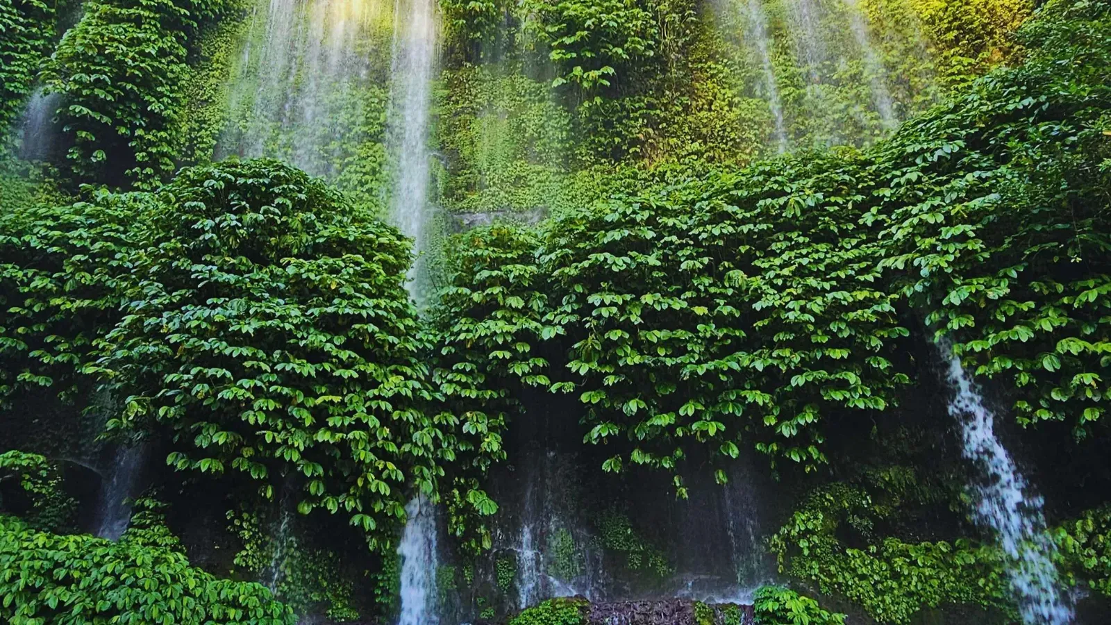 Lombok trip gallery