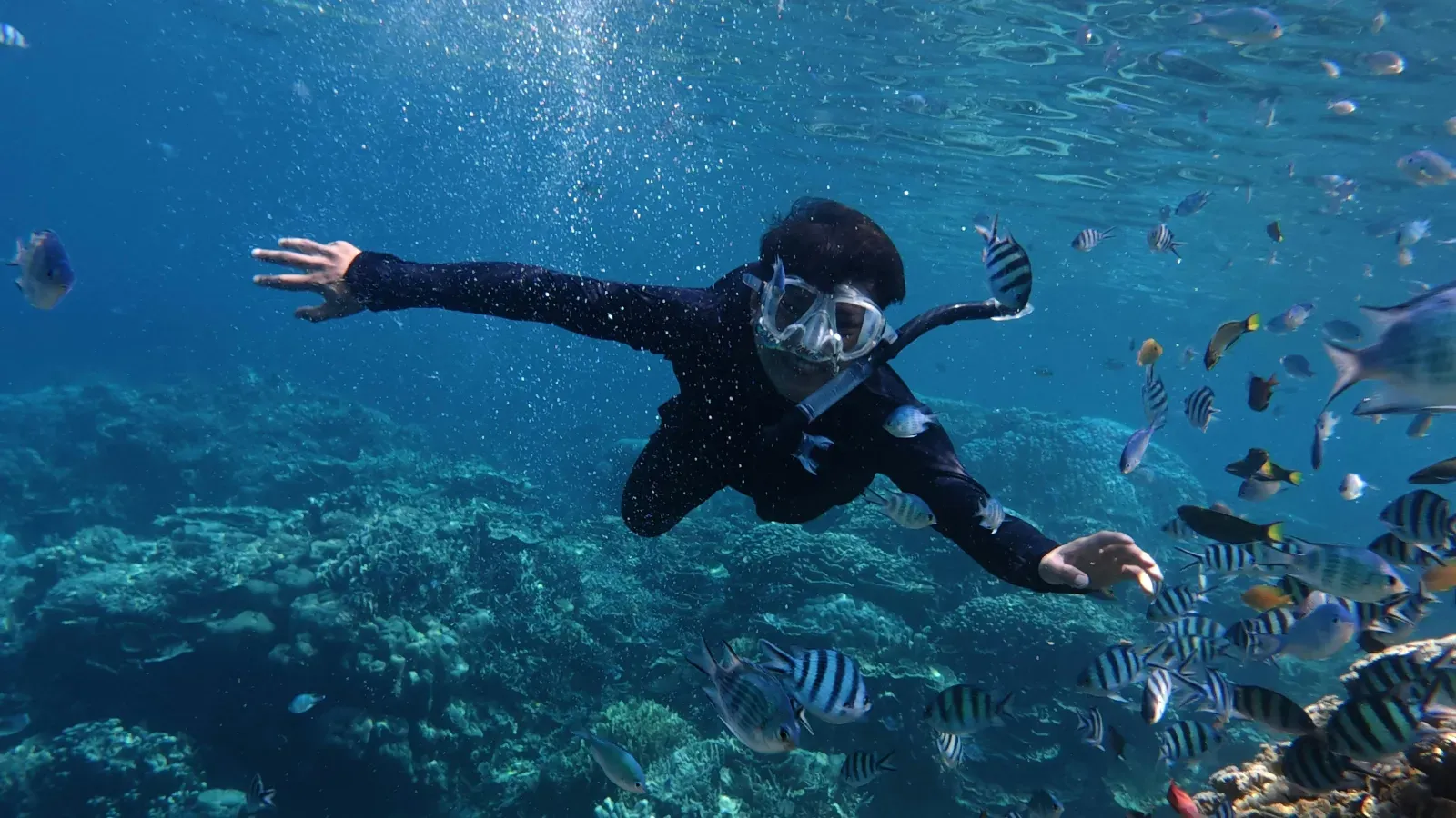 Lombok trip gallery