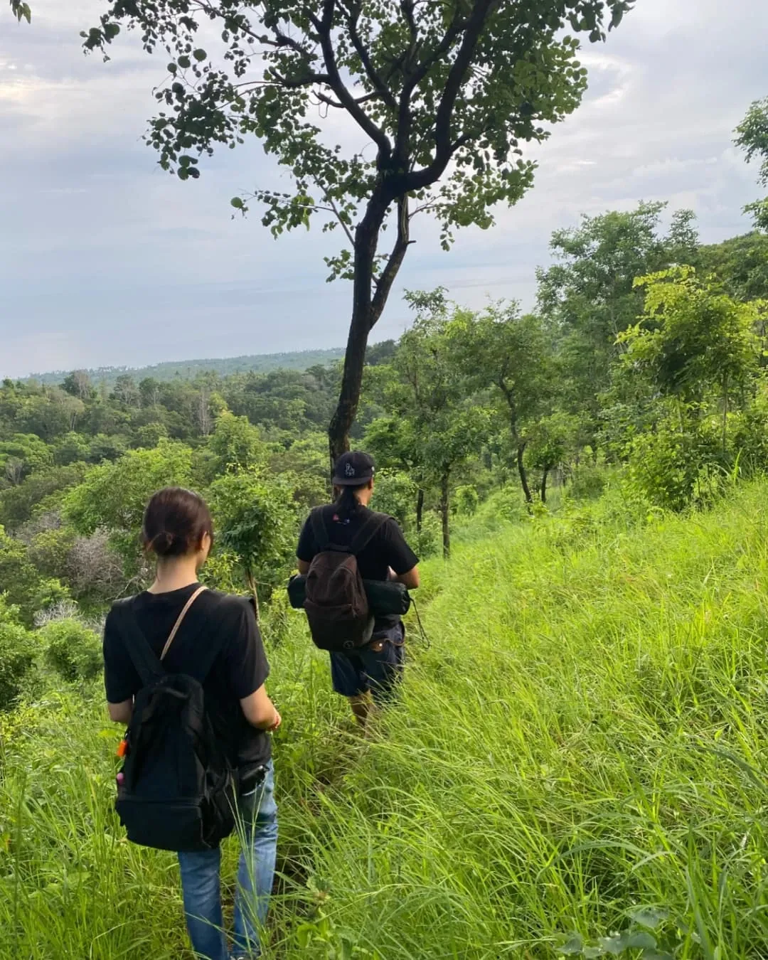 North Bali landscape on a private Bali tour
